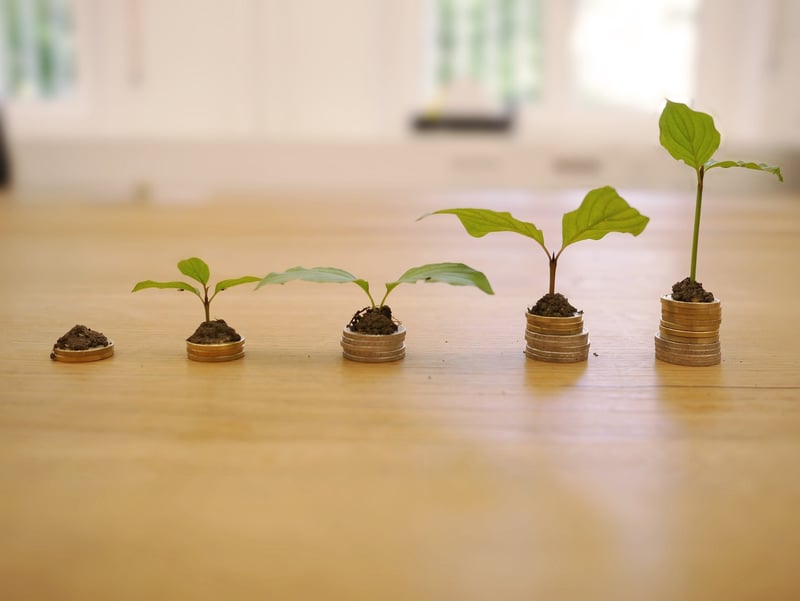 Loans and Interest Rates