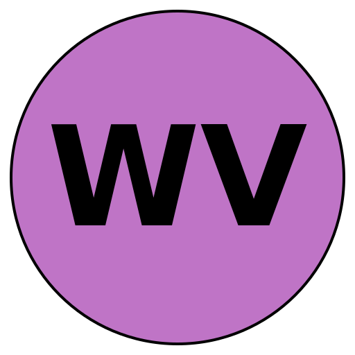 WealthVision